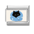 Sleepy cat