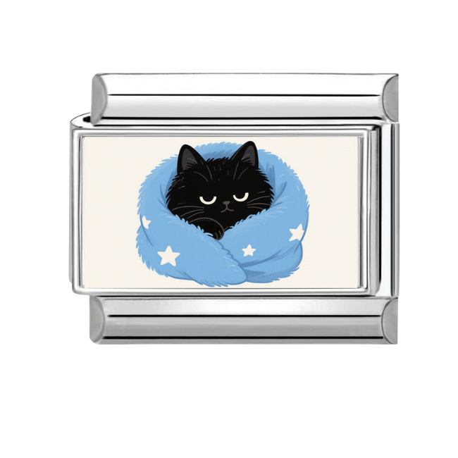 Sleepy cat