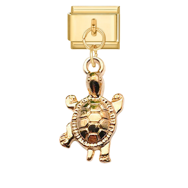 Dangled turtle