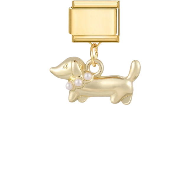 Dangled dog