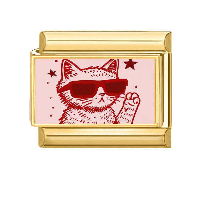 Bad kitty