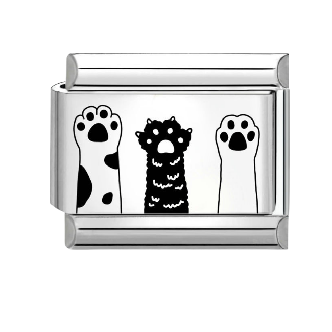 3 cat paws
